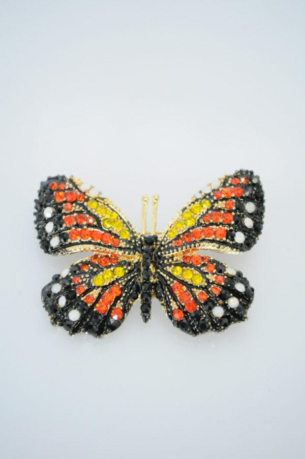 Brosa fluture colorat